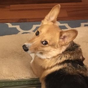 Meet your Posher, Samantha